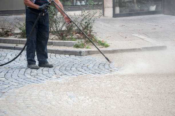 Best Restaurant Pressure Washing  in Portola, CA